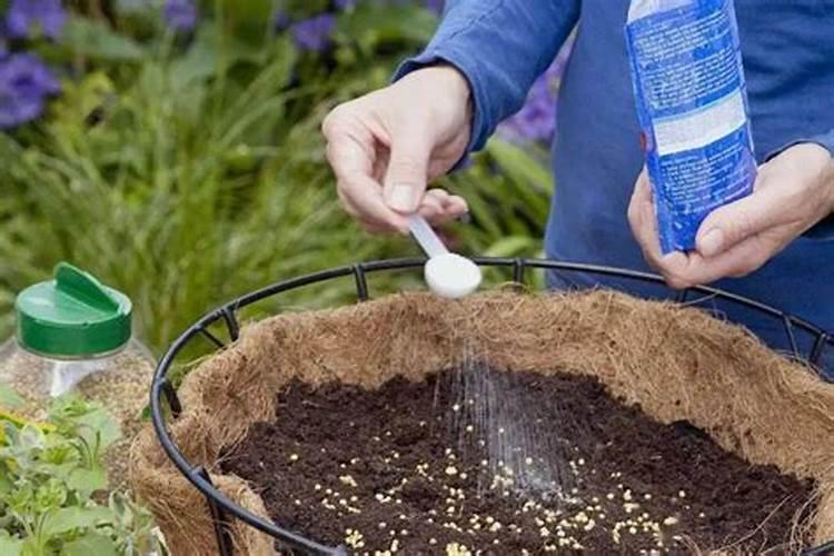 用大豆做底肥的使用方法 怎样用黄豆做肥料