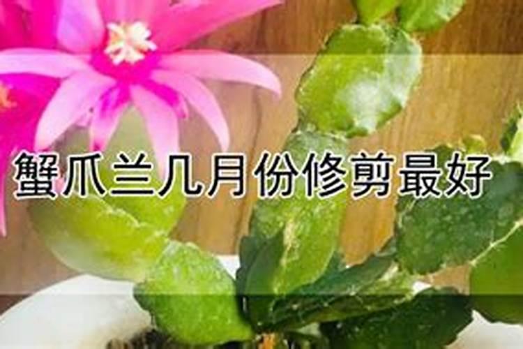 中国十大名牌化肥