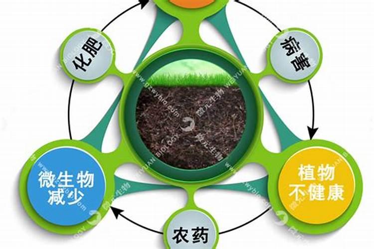 黑老虎微生物菌剂的好处与功效？