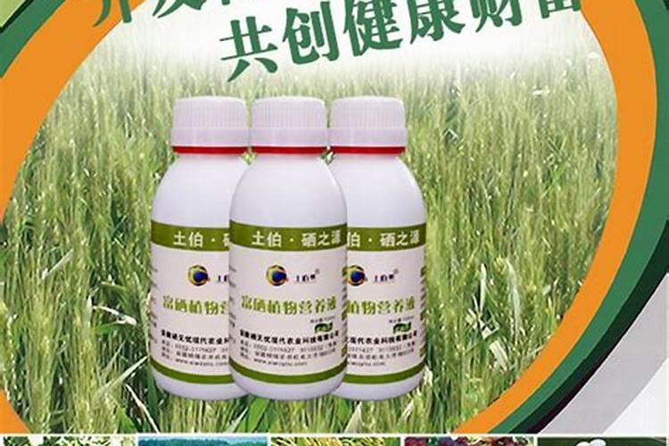 想要种出富硒蔬菜,用什么富硒肥效果好？