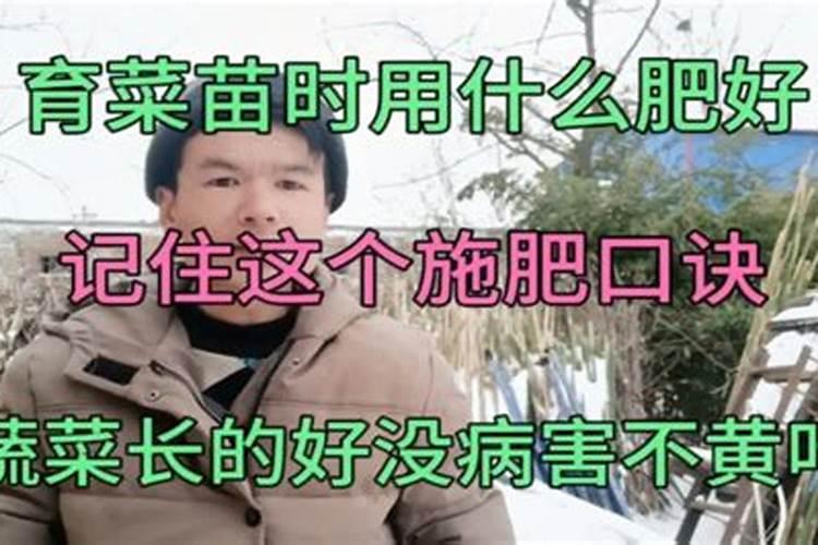 怎样种植映霜红桃树