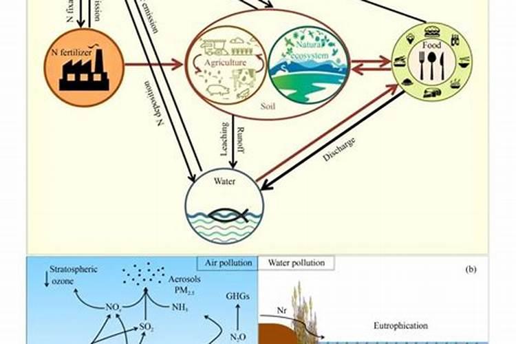 高氮肥储存1年氮肥流失多少