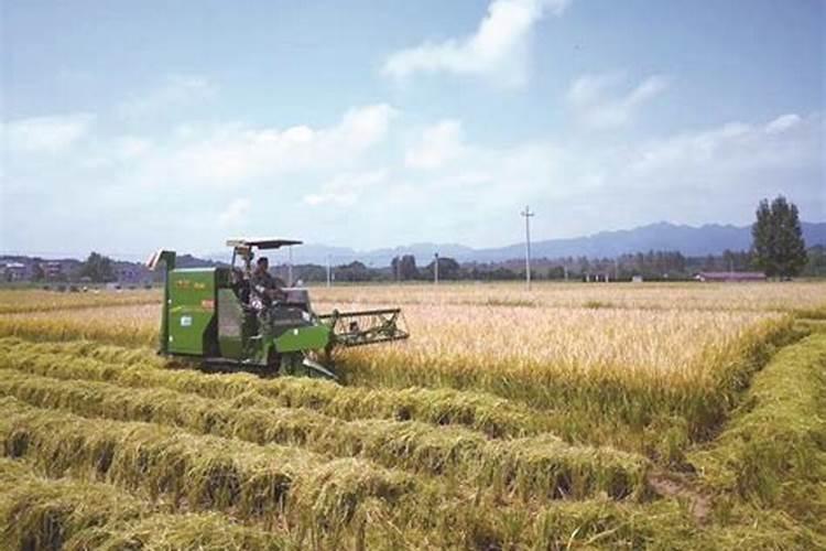 农业用硒粉厂家