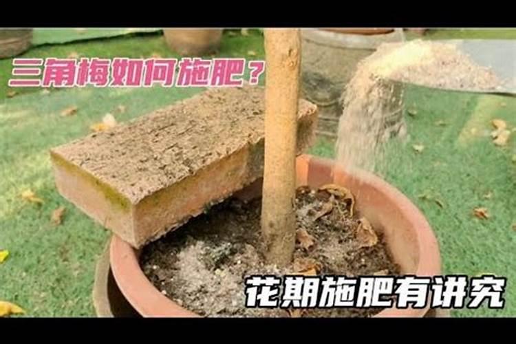 磷酸二氢钾对植物起什么作用