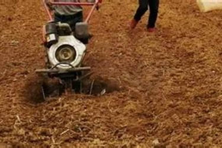 波尔多液可以加叶面肥吗