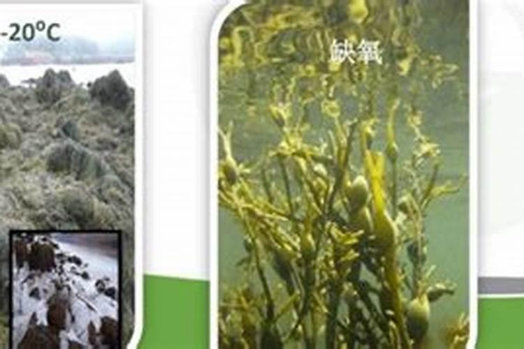 什么液肥无重金属