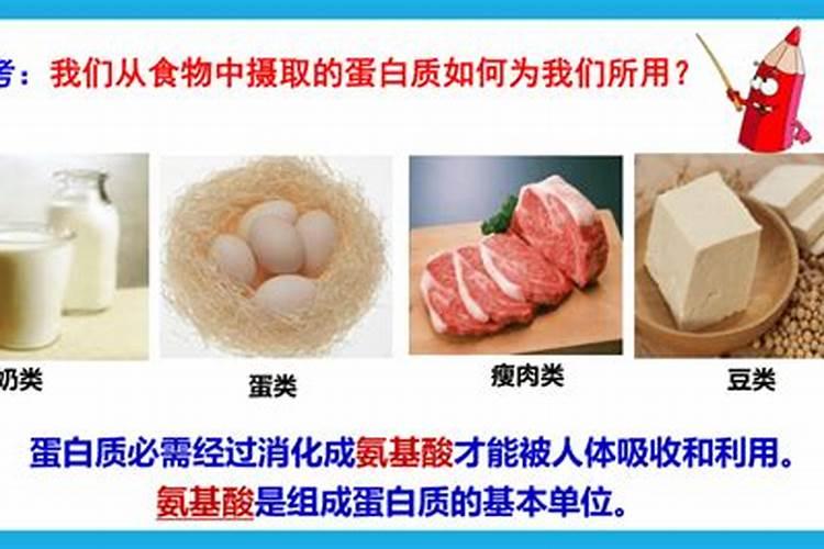 鱼蛋白对农作物的作用