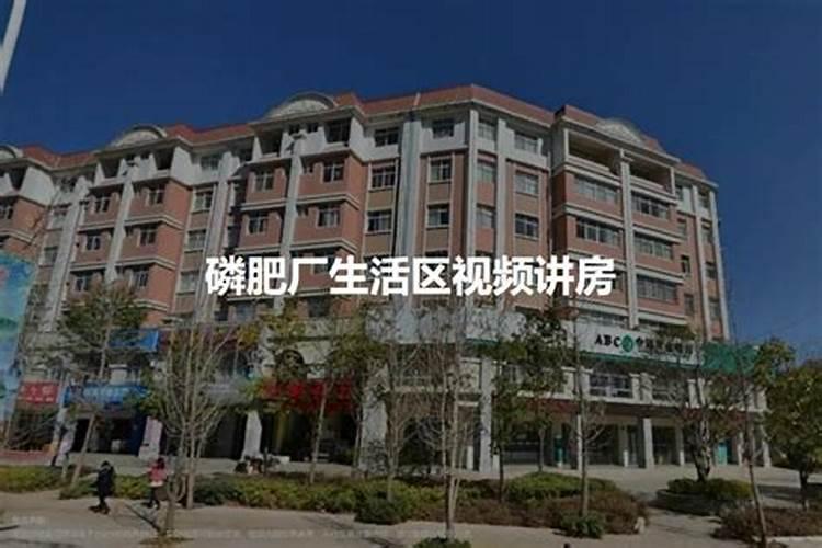 钾肥价格多少钱一吨