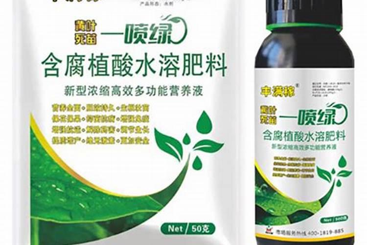 室内最好养的花排名 推荐几种室内最好养的花