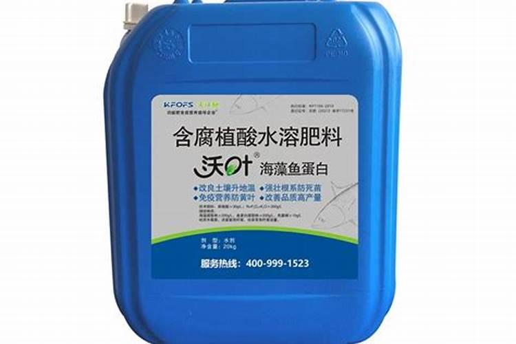 大棚红薯育苗,一亩地能育几万株苗