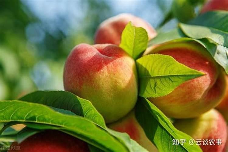 我想买一台玉米膨化机,请问那里有卖的,谢谢