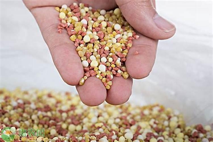 葡萄膨果期用什么肥料