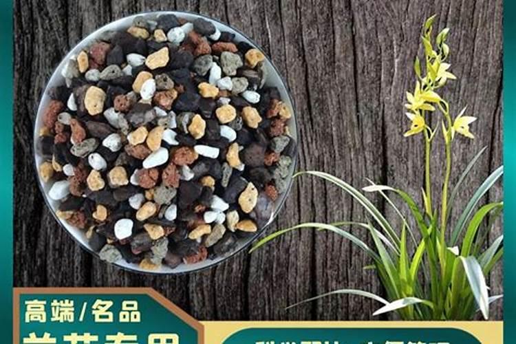 兰花长芽前要怎么施肥