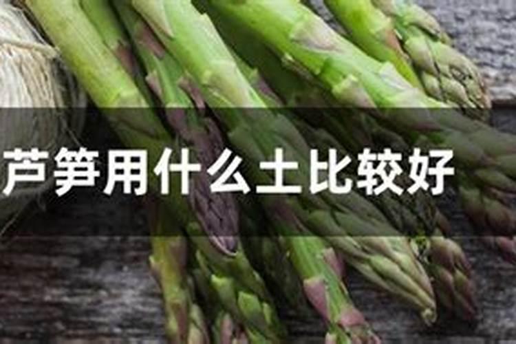 芦笋使用什么肥料最好
