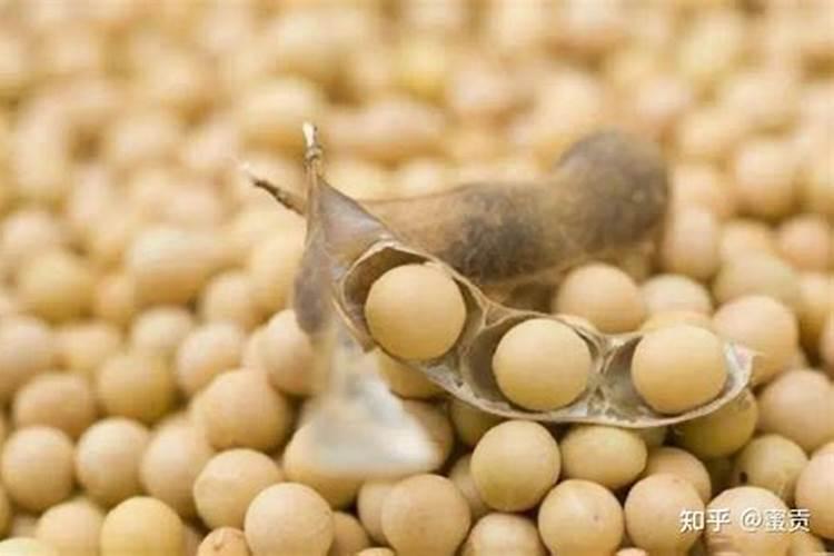 种植黄豆为什么底肥不能施得太多了,难道黄豆喜欢贫瘠之地？