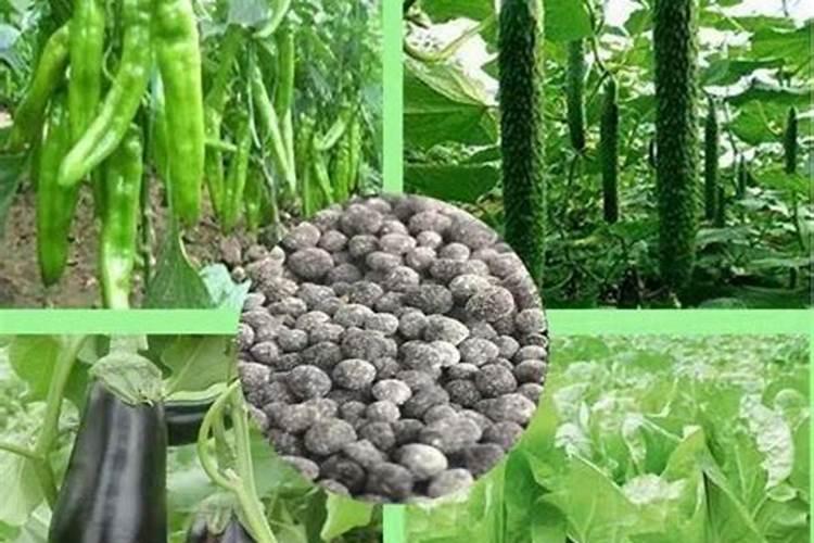 微生物肥料该如何使用？