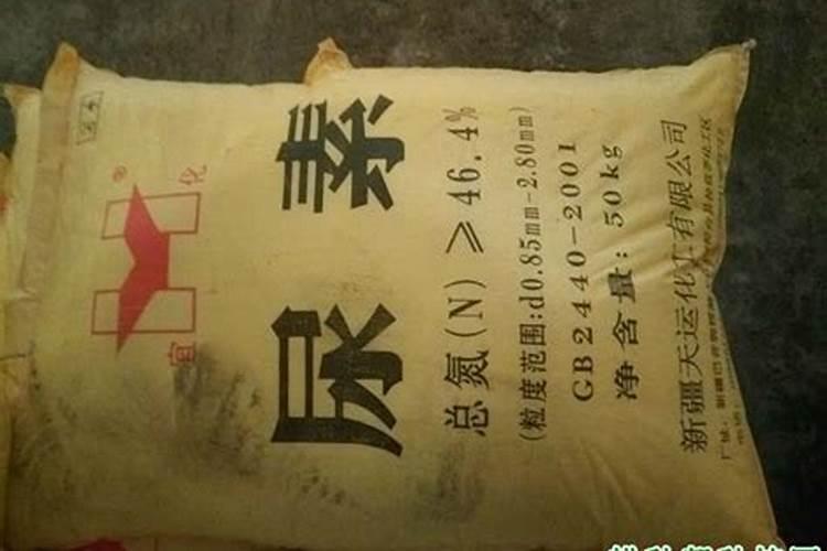 什么是氮肥有哪些