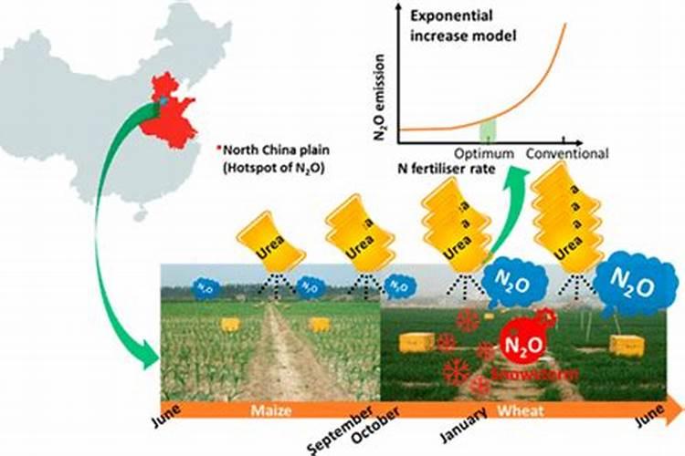 土壤肥料的选择方法 土壤肥料怎么选择
