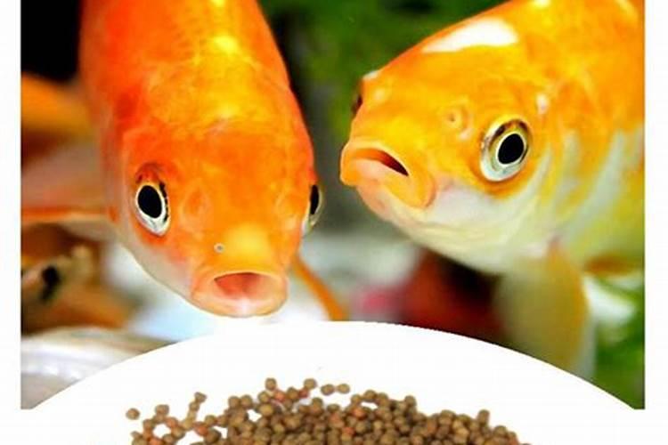 天堂花的作用是什么？