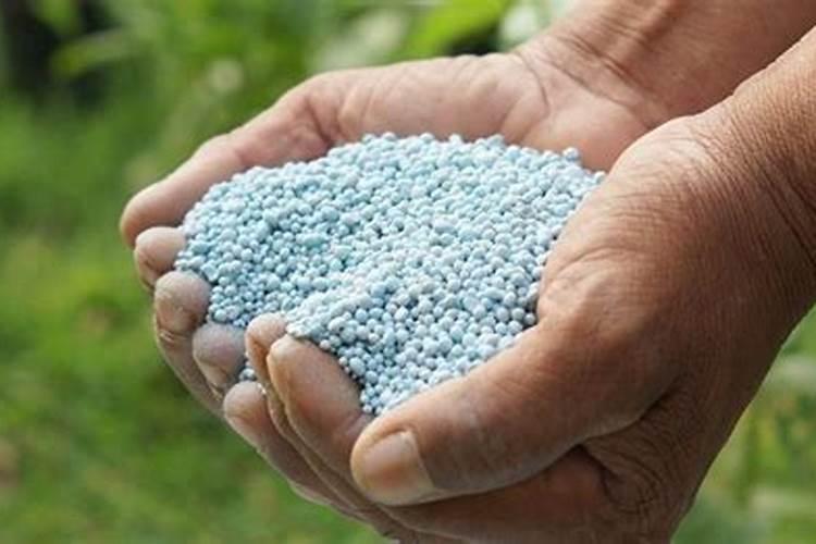 每种氮肥啥时能用、啥时不能用、具体怎么用？