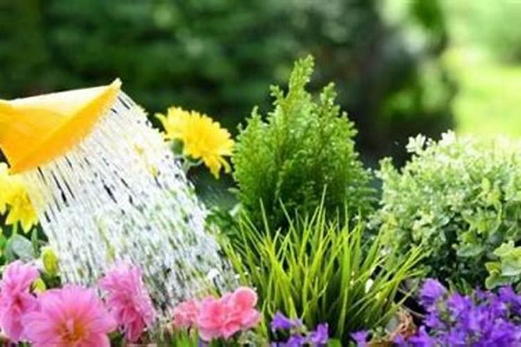 什么花忌用磷酸二氢钾