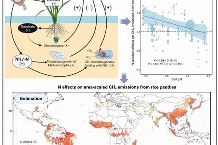 氮肥使用过量有哪些危害？氮肥使用技巧!