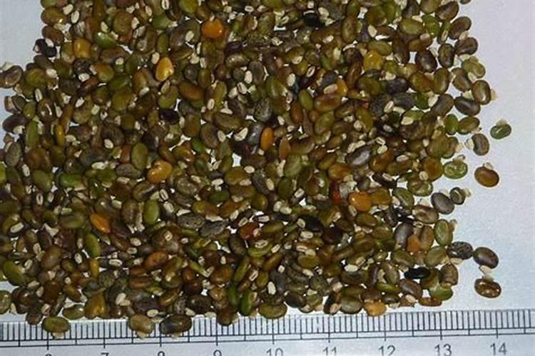 一桶20kg水溶肥了、一桶兑水4000斤,一斤兑水多少斤呢