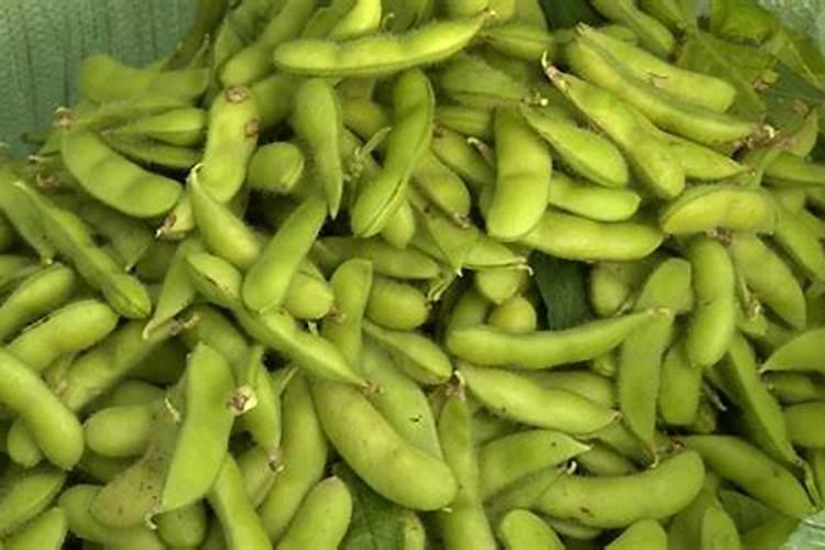 水溶肥兑水后30斤能打几亩地