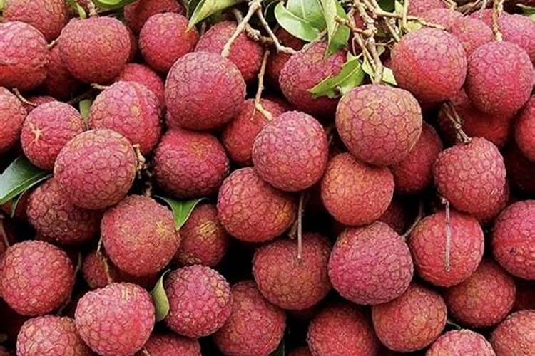 芸苔素内脂素喷在荔枝叶需要过湿吗？