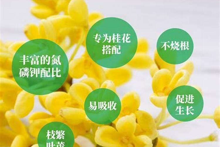 辣椒用什么化肥