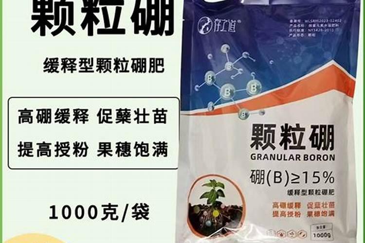 太阳花多久浇一次水比较好(需要每天浇水吗)