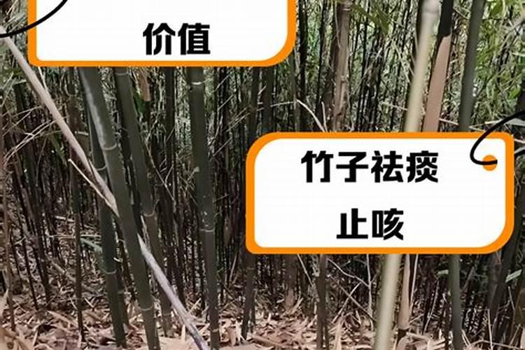 小麦能不能用芸苔素拌种？如果能该怎么使用？