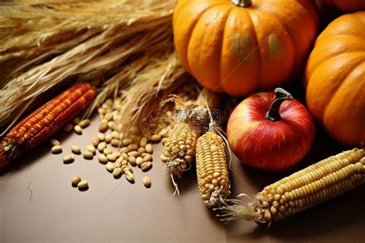 一般农作物生长所需的元素到底有多少？都有那些元素？