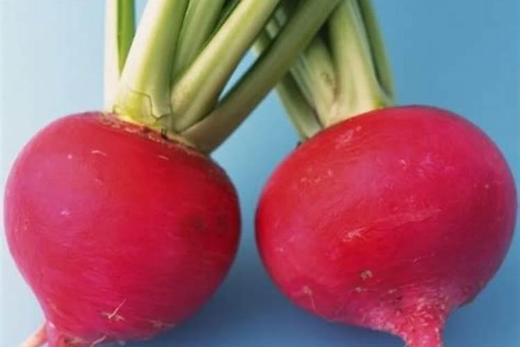 樱桃萝卜多长时间施一次肥？