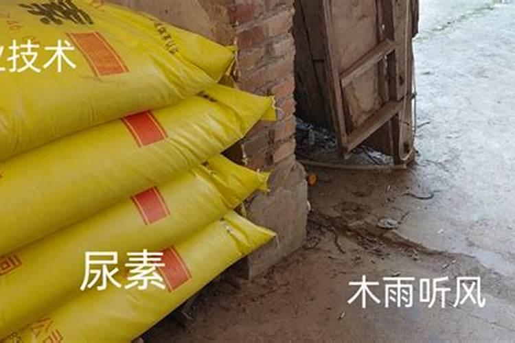 尿素是属于什么肥