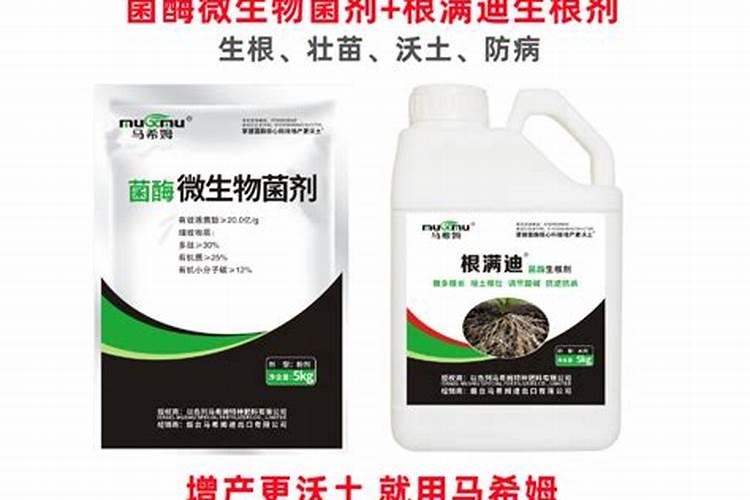 草莓用什么肥料更好的保花保果？