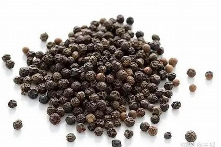 胡椒木如何养护