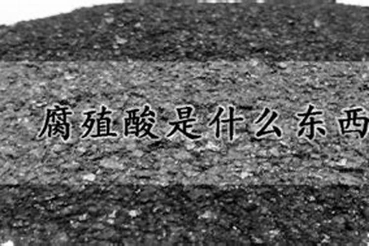 果树浇什么粪最好 粪肥不腐熟可以用吗