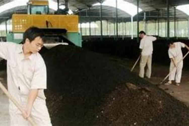 豆腐是酸性还是碱性 豆腐属于什么性质的食物