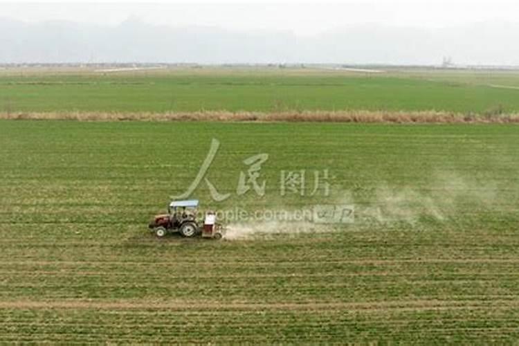 磷酸二氢钾的作用及使用方法