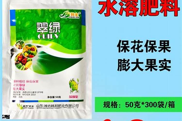 茄子种植什么时候好？叶面肥防病用什么好
