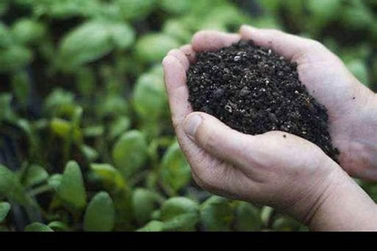 全能水专家的生成生态全能水有什么好处？