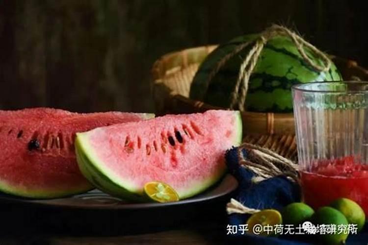 氮、磷、钾对西瓜生长有哪些影响？