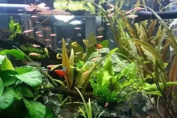 固定污染源排污许可分类管理名录(2019年版)