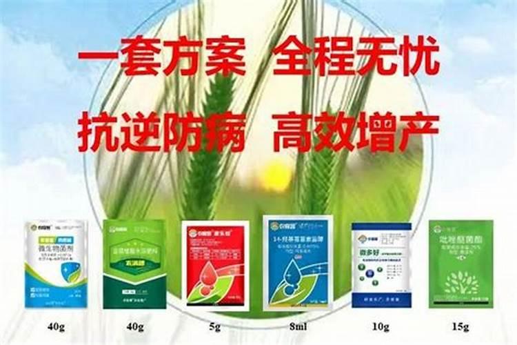 矿源黄腐酸钾肥料价格,矿源黄腐酸钾多少钱一吨,矿源黄腐酸钾哪里好？