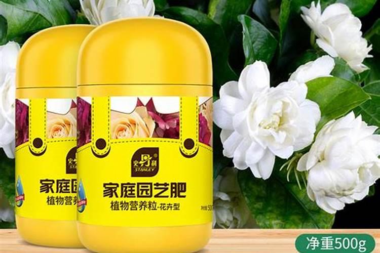 栀子花肥料有哪些