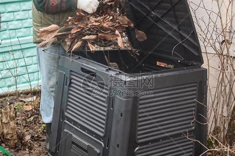 桃树硬核期施什么肥