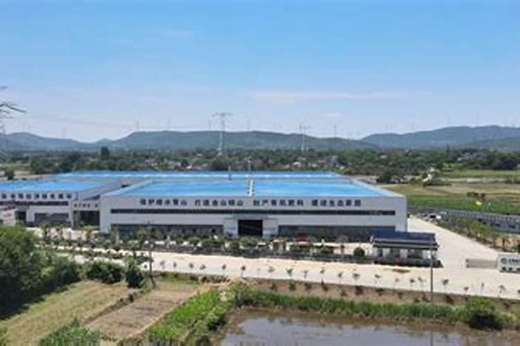 芜湖市花是什么花