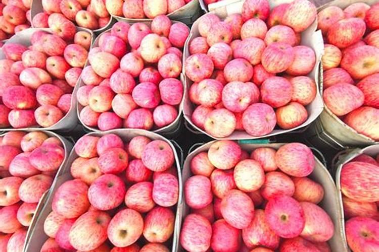 橘子单价多少元一千克