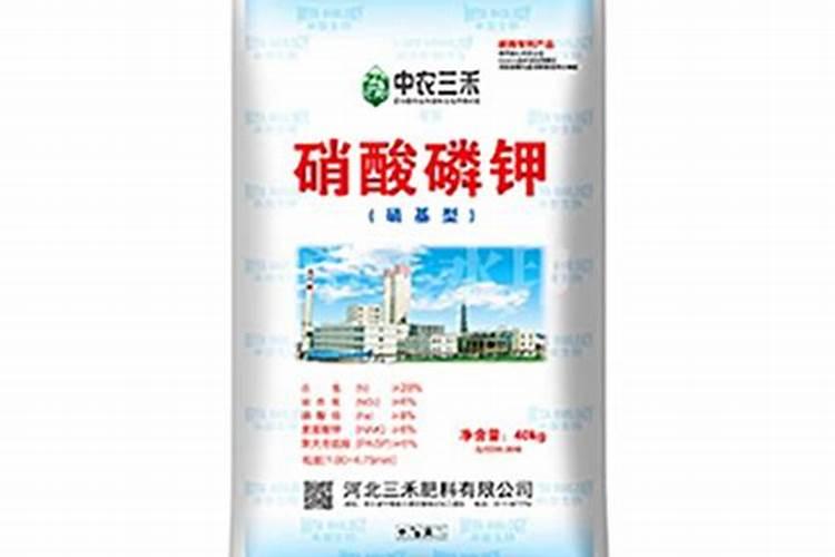 嘉施利与史丹利哪个好些